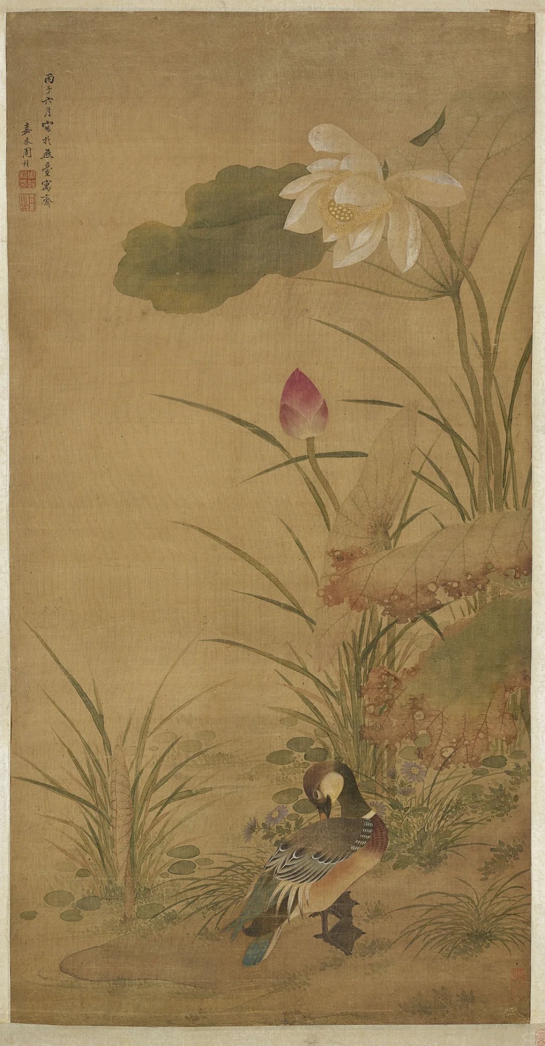 每日分享 《花鸟图》 周铨_1_古画学社_来自小红书网页版.jpg