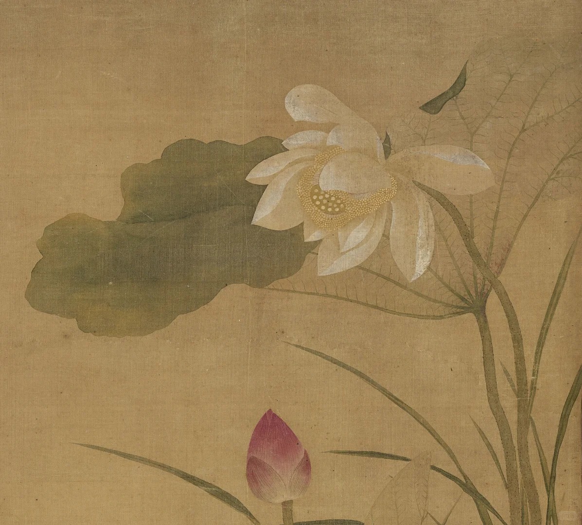 每日分享 《花鸟图》 周铨_5_古画学社_来自小红书网页版.jpg